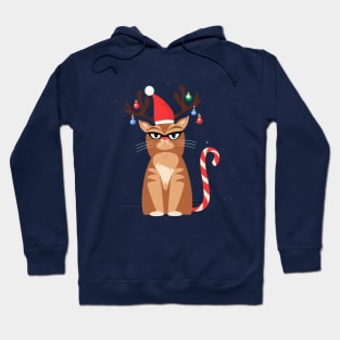 Grumpy Christmas Cat. Christmas Cat 2024 Hoodie